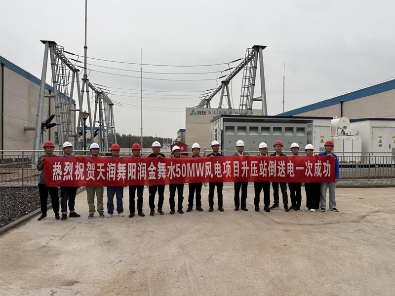 天潤舞陽(yáng)潤金舞水50MW風(fēng)電項目倒送電一次成功